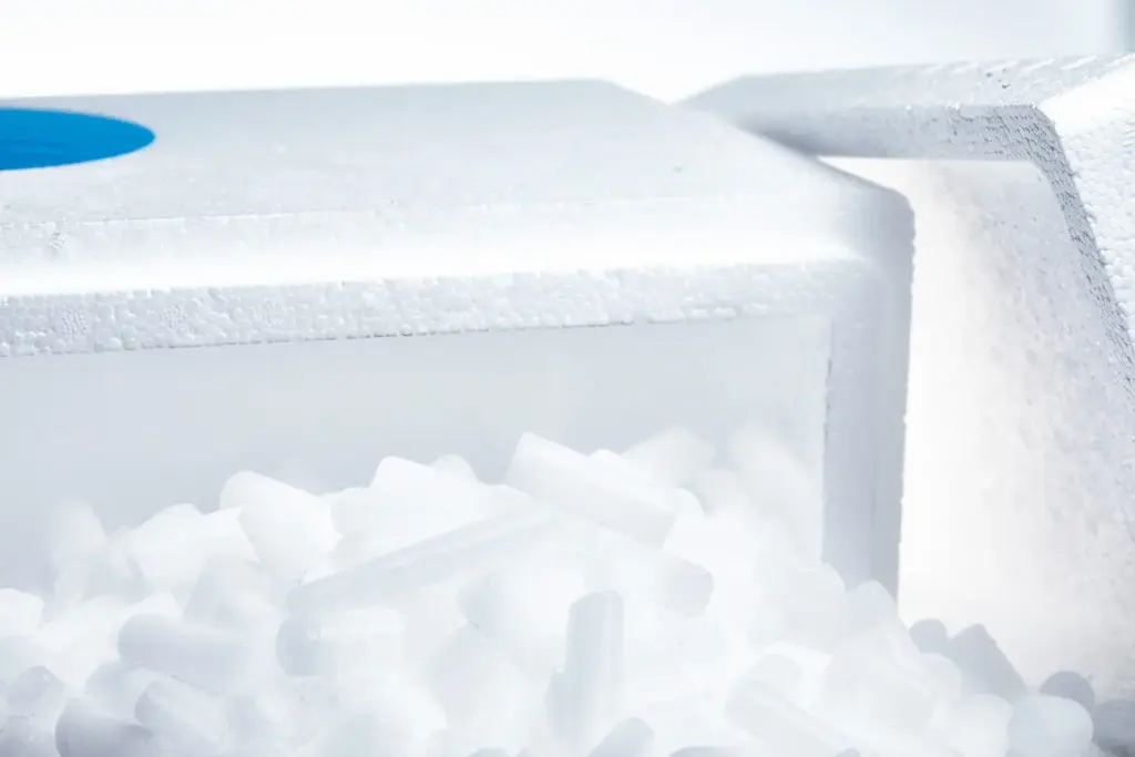 Isolierte Thermobox mit Trockeneis für den gekühlten Versand